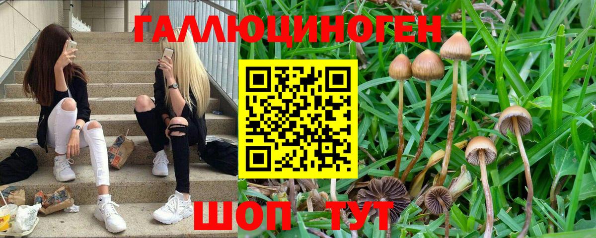 Кумертау  Псилоцибиновые грибы Cubensis  Вход с VPN 